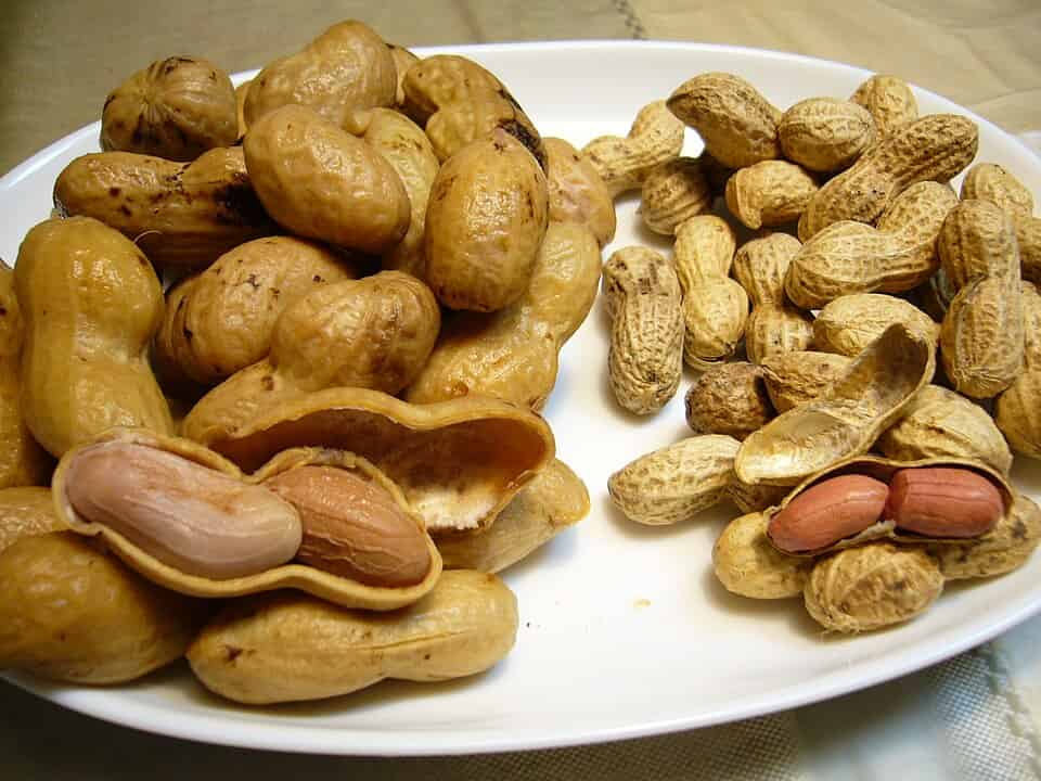 تصویر 3 از بادام زمینی سرخ شده با کنترل کیفیت چند مرحله ای حرفه ای